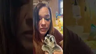 Our baby lemur!