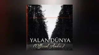 ​YALAN DÜNYA (Official Audio)