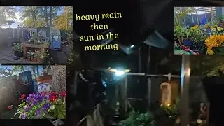 When it rains it pours. Koi got nervous of rain🤣 That's Today's video  all about