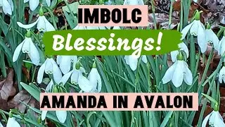 IMBOLC Blessings! 