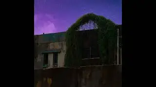 MOONLIGHT VIOLIN 