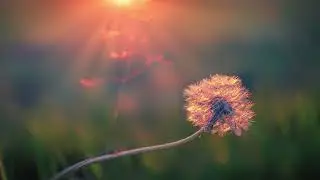 15 Taize - C'est Toi ma lampe, Seigneur (Piano Version)