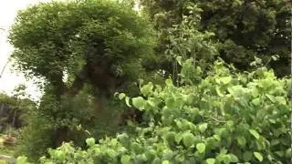ClimateWatch, an Earthwatch Initiative