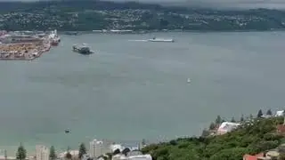 Wellington city view