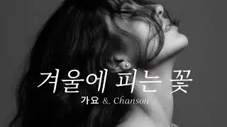 겨울에 피는 꽃 - 가요 & Chanson | 가사에 젖고 멜로디에 잠들다