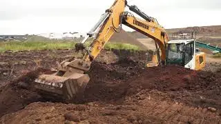 Quarrystore: Screened Topsoil