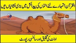 Latest Scientific Research on Camel | Why camel is Called Ship of Desert Urdu Hindi