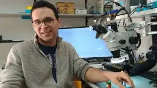 Estanho em pasta, qual melhor, como aplicar e como funciona