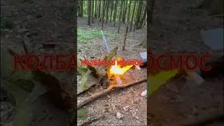 ВЫСТРЕЛ КОЛБАСОЙ #funny #destroy #memes #юмор #trending #прикол #тренды #смех #explosion #смешно