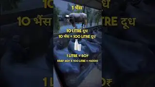 Cow 🐄 Se Best Business 💯 | Dairy Farming + Animal Vlogs | Hakim Animal Vlogs