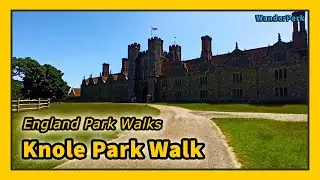 Knole Park Walking Tour With Views of Knole House And Some Deer In Sight (Quick Walk)