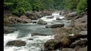 Kunthipuzha River KERALA