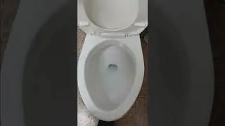 warehouse toilet cleaning. #toilet #clean #scrubbing #warehouse #limpieza #ba&ntilde;o #fypシ #office