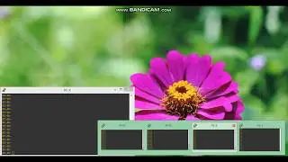 Intent-based Networking application