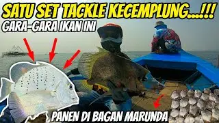RESIKO Mancing Di Rumpon Ikan Kapi-kapi || Udang Turun Langsung Di Hajar....!!!