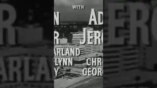 The Miami Story (1954) Barry Sullivan, Luther Adler, John Baer - Film Noir