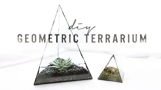 DIY GEOMETRIC GLASS TERRARIUM | THE SORRY GIRLS