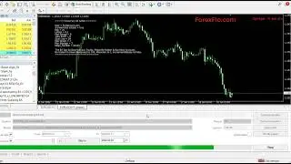 Free Download Forex EA - Best Scalping Forex EA | Quick Profits Forex Robot Free Downlaod