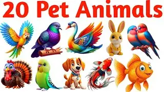 Pet Animals Name for Kids | Learn 20 Pet & Domestic Animals in English with Pictures