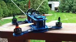 Fun Runs at Heritage Park - 3D Printed Hammer Mini 250 miniquad - 4 Flights