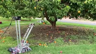 Robotic Fruit Harvester UCR Senior Design 2020