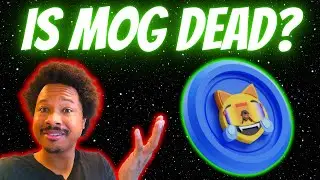 Is Mog Coin $MOG Still Worth Holding In 2025?