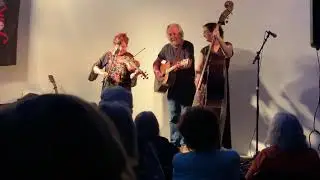 Thompsonia 1 Folkworks Festival 2019