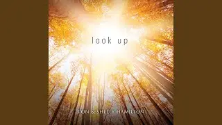 Look Up