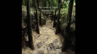 Sad Lovers & Giants - Blood from a stone - 2018