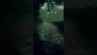 Premalu bgm 💞