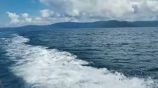 Delfine 2 Golfito Golfo Dulce Costa Rica https://www.willeberlin.de
