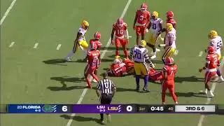 Tyrion Davis-Price 2021 CFB Game Highlights vs Florida | CR Highlights