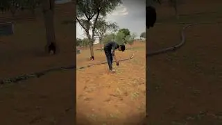 🌿🍀🌱farming reels #shorts #newreels #trending #khetibhadi #farmingreels #viralshort #newreels
