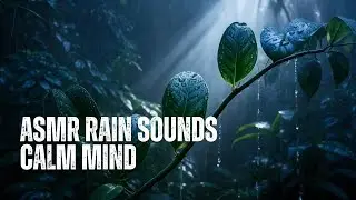 ASMR Rain Sounds for Sleeping: Calm Your Mind & End Overthinking