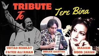 Tere Bina Tribute to Ustad Nusrat Fateh Ali Khan & Madam Noor Jahan | Imran Akhtar  Mouth Harmonium