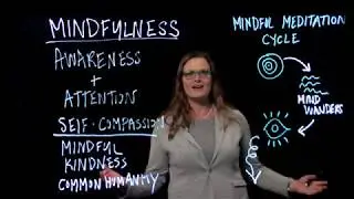 Mindfulness & Self-Compassion for Performance - Amy Baltzell