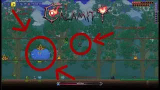 The Worst Calamity Player tries to Fight Bosses