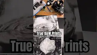 A variety of B&W film on true B&W paper!