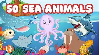 50 SEA ANIMALS for Kids | Learn Ocean Animal Names