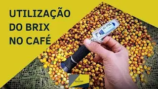 Como medir o brix no café?