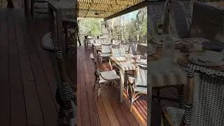 Lunch time at SIMBAMBILI Game Lodge 🍽️ In the terrace and pool spa. AMAZING! #simbambiligamelodge