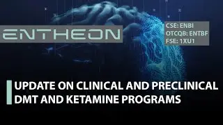 Entheon; Tim Provides An Update on Clinical and Preclinical DMT & Ketamine Programs
