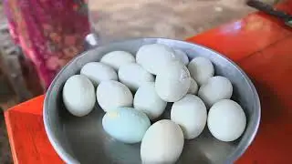 Cooking egg duck soup with vegetable recipe