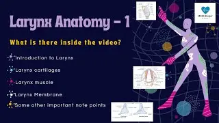 larynx Anatomy by MBBS BURGER/ Cartilages of larynx in Hindi by handwritten notesI muscles of larynx