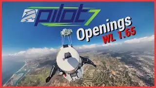 Aerodyne Pilot7 ZP 147sqf - Wingsuit Openings - weak air flow control!