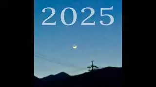 DAIMU ー 2025 [audio video]