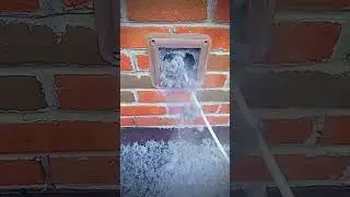 You will be surprised to see this! Get your dryer vent inspected today!