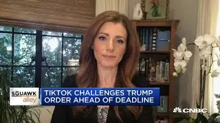 TikTok challenges President Donald Trump ban ahead of deadline