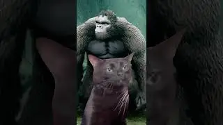 Realising you wasted &pound;35 on a King Kong game
