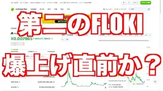 なんとなく第二のFLOKI急騰しそうな予感プンプンするなぁ〜